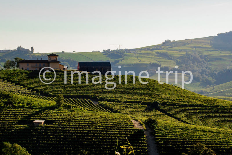 Langhe 7